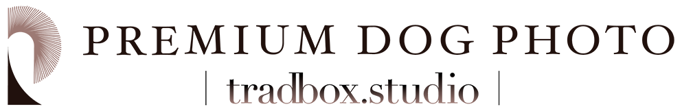 愛犬家のためのペット＆ファミリーフォトスタジオ PREMIUM DOG PHOTO 愛媛本店｜tradbox.mom